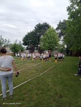 img20260618102119_(1783683669).jpg