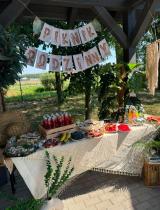 Piknik rodzinny –letnie spotkanie profilaktyczne w Siedlcu